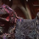 Illustration for article titled Jim Henson turned puppets into monsters with The Dark Crystal